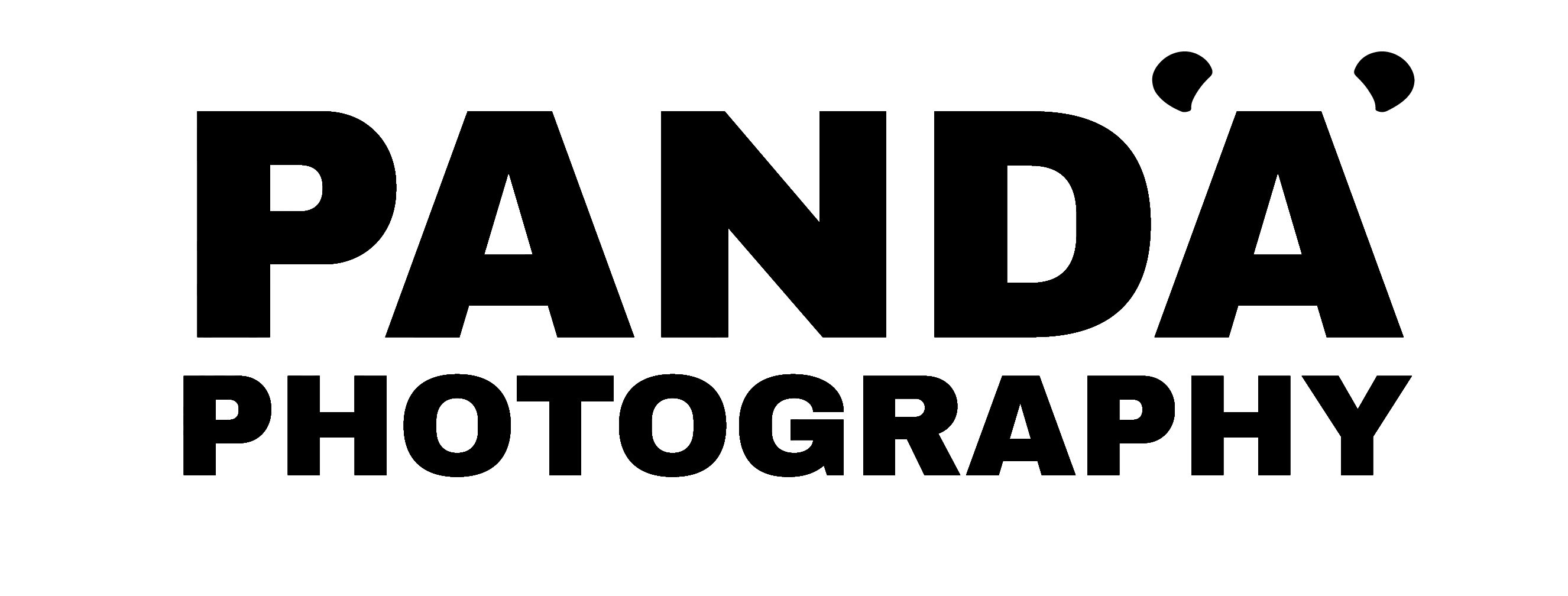 Logo for PandA Photography LLC